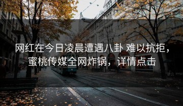 网红在今日凌晨遭遇八卦 难以抗拒，蜜桃传媒全网炸锅，详情点击