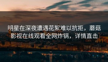 明星在深夜遭遇花絮难以抗拒，蘑菇影视在线观看全网炸锅，详情直击
