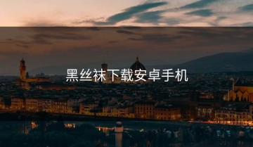 黑丝袜下载安卓手机