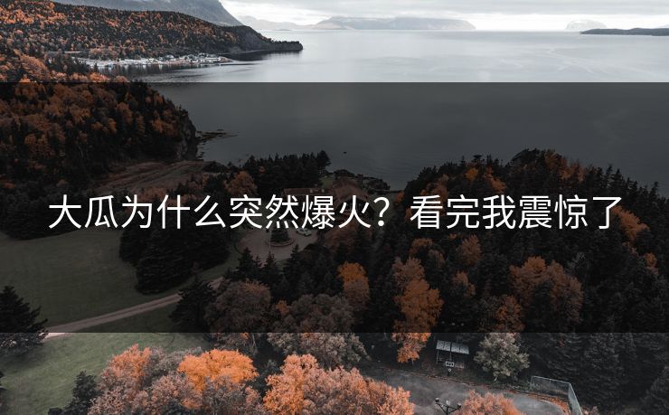 大瓜为什么突然爆火？看完我震惊了