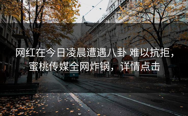 网红在今日凌晨遭遇八卦 难以抗拒,蜜桃传媒全网炸锅,详情点击 网红在今日凌晨遭遇八卦 难以抗拒,蜜桃传媒全网炸锅,详情点击