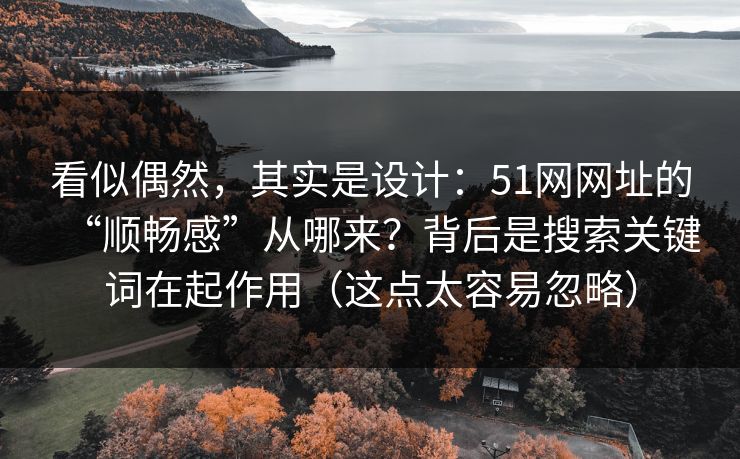 看似偶然，其实是设计：51网网址的“顺畅感”从哪来？背后是搜索关键词在起作用（这点太容易忽略）